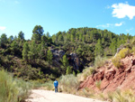 Grupo Mineralógico de Alicante. La Escarabehuela. Enguidanos. Cuenca  