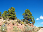 Grupo Mineralógico de Alicante. La Escarabehuela. Enguidanos. Cuenca  