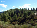 Grupo Mineralógico de Alicante. La Escarabehuela. Enguidanos. Cuenca  