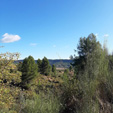 Grupo Mineralógico de Alicante. La Escarabehuela. Enguidanos. Cuenca  