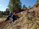 Grupo Mineralógico de Alicante. La Escarabehuela. Enguidanos. Cuenca  