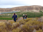 Grupo Mineralógico de Alicante. Cabezo Negro. Zeneta. Murcia  