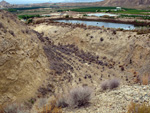 Grupo Mineralógico de Alicante. Cabezo Negro. Zeneta. Murcia  