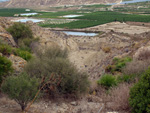 Grupo Mineralógico de Alicante. Cabezo Negro. Zeneta. Murcia 