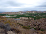 Grupo Mineralógico de Alicante. Cabezo Negro. Zeneta. Murcia 