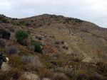 Grupo Mineralógico de Alicante. Calcedonia. Cabezo Negro. Zeneta. Murcia 