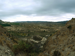 Grupo Mineralógico de Alicante. Cabezo Negro. Zeneta. Murcia  