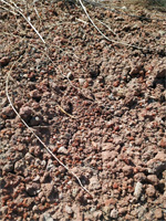 Grupo Mineralógico de Alicante. Afloramiento del Keuper, Chella. Comarca Canal de Navarrés, València