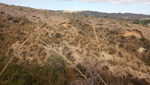 Grupo Mineralógico de Alicante. Pantano de Crevillente. Alicante  