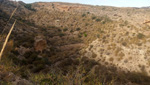 Grupo Mineralógico de Alicante. Pantano de Crevillente. Alicante  