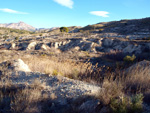 Grupo Mineralógico de Alicante. Terrers dels Pobres, Lomas de la Beata.  Agost. Alicante   