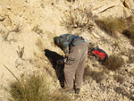 Grupo Mineralógico de Alicante. Terrers dels Pobres, Lomas de la Beata.  Agost. Alicante   