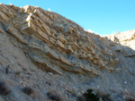 Grupo Mineralógico de Alicante. Terrers dels Pobres, Lomas de la Beata.  Agost. Alicante   