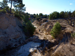 Grupo Mineralógico de Alicante.  El Alcavó.   Agost. Alicante   