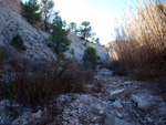 Grupo Mineralógico de Alicante. El Alcavó.   Agost. Alicante   