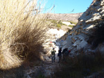 Grupo Mineralógico de Alicante.  El Alcavó.   Agost. Alicante   