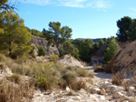 Grupo Mineralógico de Alicante.  El Alcavó.   Agost. Alicante  