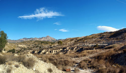 Grupo Mineralógico de Alicante. Terrers dels Pobres, Lomas de la Beata.  Agost. Alicante   