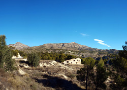 Grupo Mineralógico de Alicante. Terrers dels Pobres, Lomas de la Beata.  Agost. Alicante   