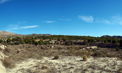 Grupo Mineralógico de Alicante. Terrers dels Pobres, Lomas de la Beata.  Agost. Alicante   