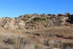 Grupo Mineralógico de Alicante.  Yacimiento de Aragonitos de Loma Badá. Petrer. Alicante    