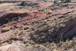 Grupo Mineralógico de Alicante.  Yacimiento de Aragonitos de Loma Badá. Petrer. Alicante    