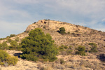 Grupo Mineralógico de Alicante. Pla de Xirau. San Vicente del Raspeig. ALicante   