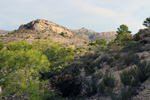 Grupo Mineralógico de Alicante. Pla de Xirau. San Vicente del Raspeig. ALicante   