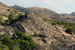 Grupo Mineralógico de Alicante. Pla de Xirau. San Vicente del Raspeig. ALicante    