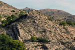 Grupo Mineralógico de Alicante.  Pla de Xirau. San Vicente del Raspeig. ALicante    