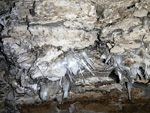 Grupo Mineralógico de Alicante. Coto Minero de Hellín. Las Minas de Azufre   