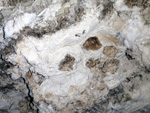 Grupo Mineralógico de Alicante.  Coto Minero de Hellín. Las Minas de Azufre    