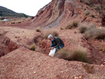 Grupo Mineralógico de Alicante. Yacimiento de Aragonitos de Loma Badá. Petrer. Alicante   