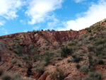 Grupo Mineralógico de Alicante. Yacimiento de Aragonitos de Loma Badá. Petrer. Alicante   