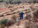 Grupo Mineralógico de Alicante. Yacimiento de Aragonitos de Loma Badá. Petrer. Alicante   