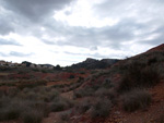 Grupo Mineralógico de Alicante. Yacimiento de Aragonitos de Loma Badá. Petrer. Alicante   