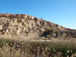 Grupo Mineralógico de Alicante. Lagunas de Rabasa. Alicante   