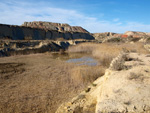 Grupo Mineralógico de Alicante.  Lagunas de Rabasa. Alicante    