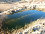 Grupo Mineralógico de Alicante.  Lagunas de Rabasa. Alicante    