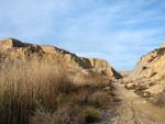 Grupo Mineralógico de Alicante. Lagunas de Rabasa. Alicante   