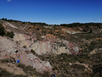 Grupo Mineralógico de Alicante. Pino de la Vaqueriza. Minglanilla y Rambla salada. La Pesquera. Cuenca   