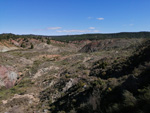 Grupo Mineralógico de Alicante. Pino de la Vaqueriza. Minglanilla y Rambla salada. La Pesquera. Cuenca   