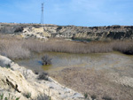 Grupo Mineralógico de Alicante. Lagunas de Rabasa. Alicante   