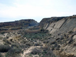 Grupo Mineralógico de Alicante. Lagunas de Rabasa. Alicante   