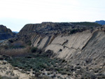 Grupo Mineralógico de Alicante.  Lagunas de Rabasa. Alicante    