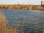 Grupo Mineralógico de Alicante.  Lagunas de Rabasa. Alicante    