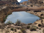 Grupo Mineralógico de Alicante. Lagunas de Rabasa. Alicante    