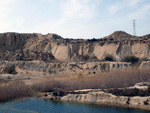 Grupo Mineralógico de Alicante. Lagunas de Rabasa. Alicante    