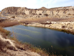 Grupo Mineralógico de Alicante.  Lagunas de Rabasa. Alicante    