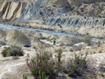 Grupo Mineralógico de Alicante. Lagunas de Rabasa. Alicante   